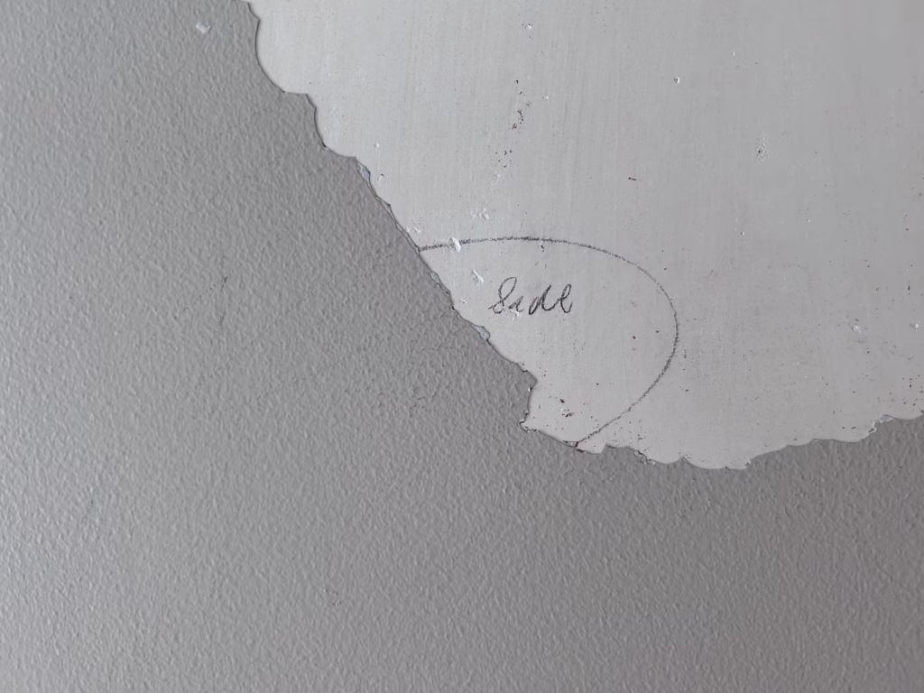 Plaster Ceiling Collapse and Restoration in Kenmore NY