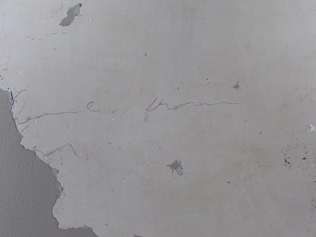 Plaster Ceiling Collapse and Restoration in Kenmore NY