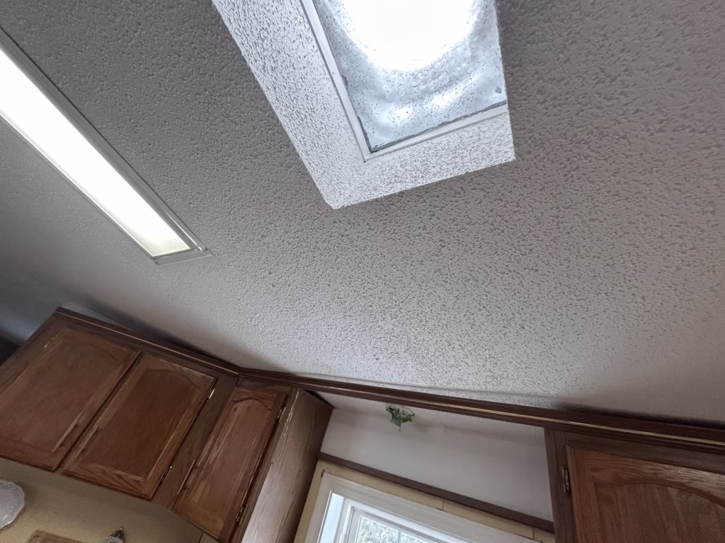 Popcorn Ceiling Repair and Painting - Golden Pond - Part II