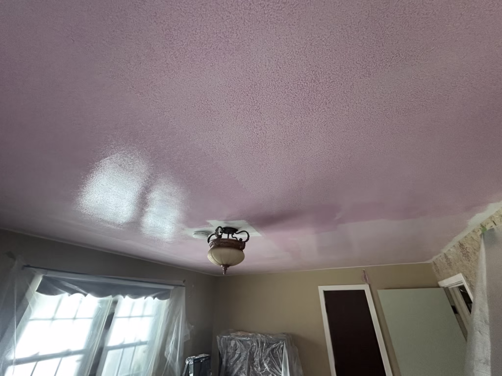 Getzville NY: Ceiling Restoration and Painting - The Carrigan Archives Getzville NY: Ceiling Restoration and Painting