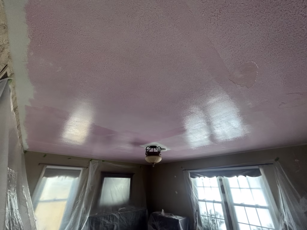 Getzville NY: Ceiling Restoration and Painting - The Carrigan Archives Getzville NY: Ceiling Restoration and Painting