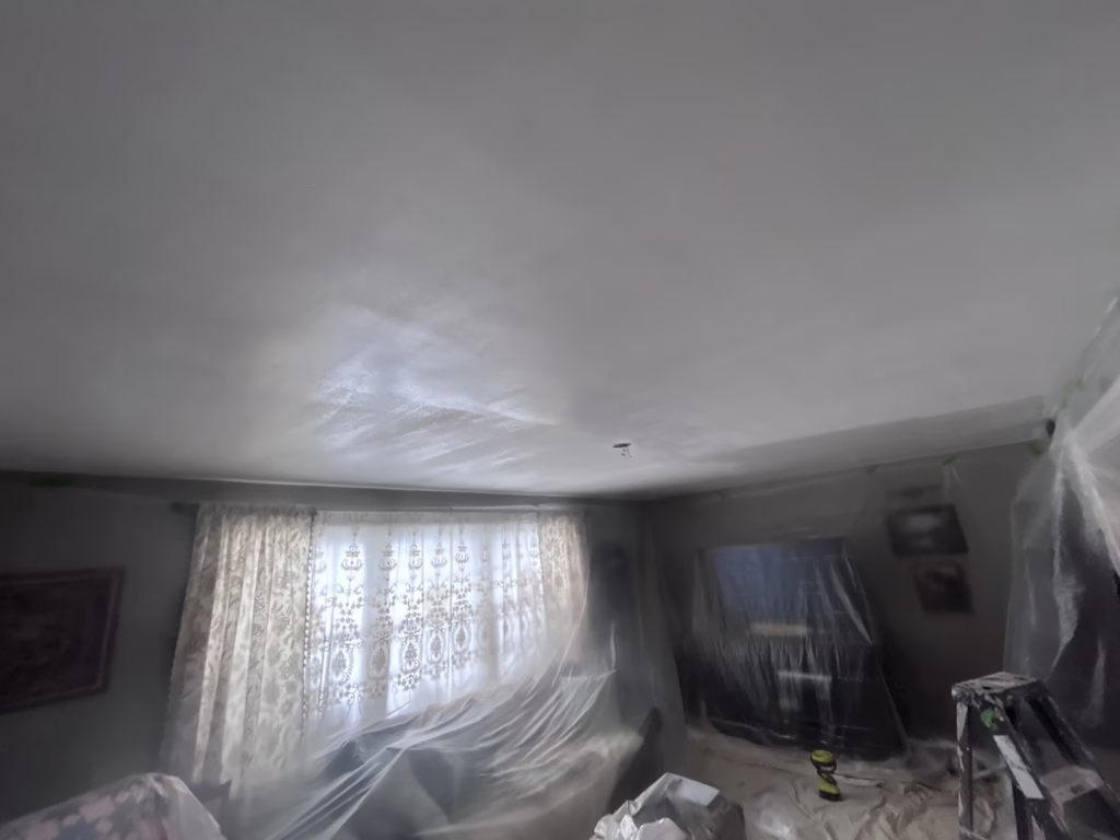 Getzville NY: Ceiling Restoration and Painting - The Carrigan Archives Getzville NY: Ceiling Restoration and Painting