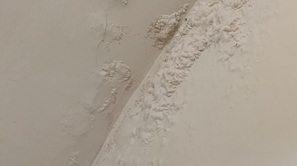 Water Damaged Plaster Repair and Painting in a small foyer in Amherst, NY