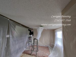 Popcorn Ceiling Removal in Newstead