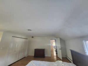 Trying out the new NYS Compliant Oil Primer and Ceiling Painting