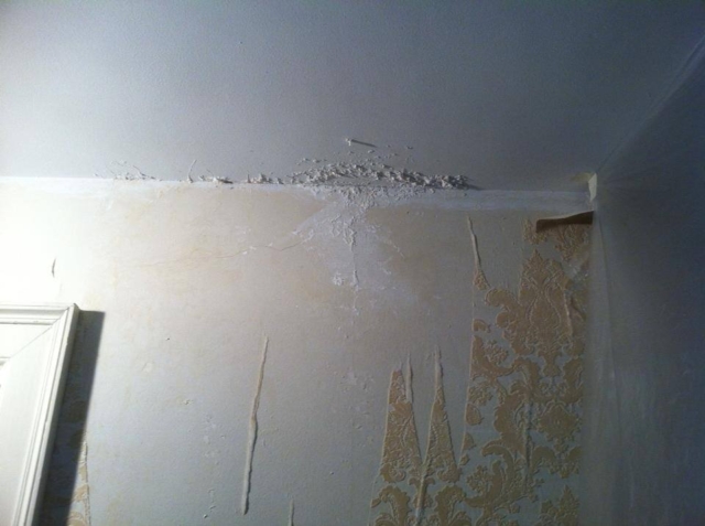 Carrigan Painting's Plaster Repair Portfolio