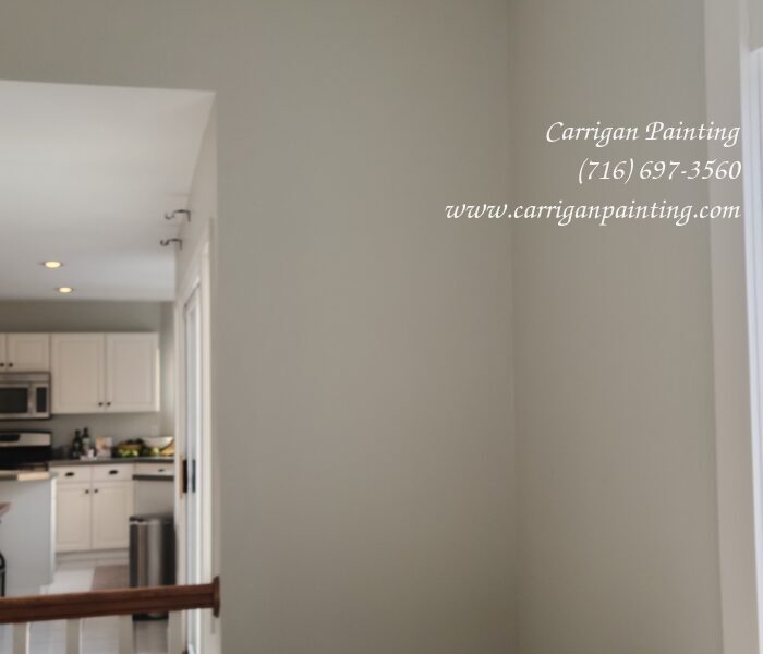 Water damage drywall repair Clarence NY