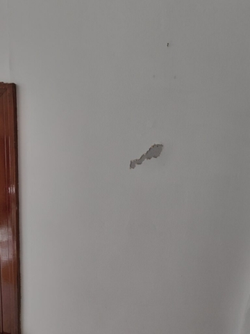 Carrigan Painting's Plaster Repair Portfolio