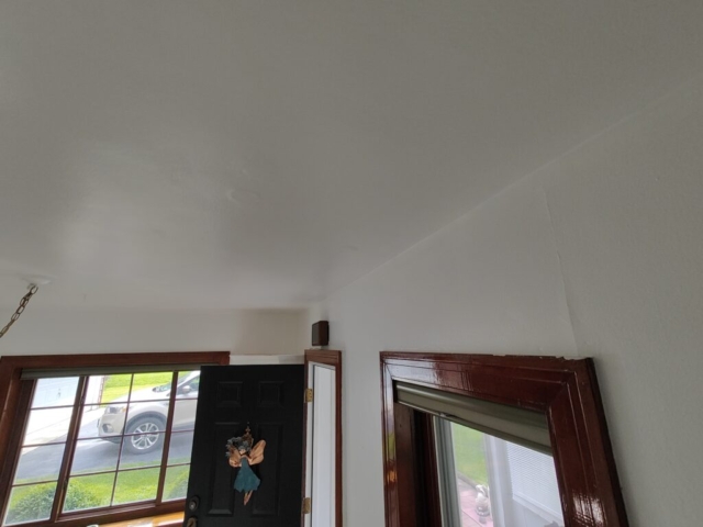 Carrigan Painting's Plaster Repair Portfolio