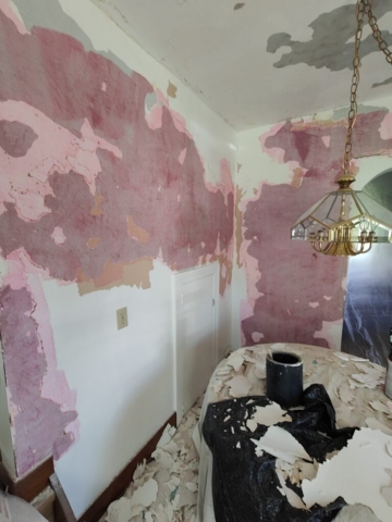 Carrigan Painting's Plaster Repair Portfolio