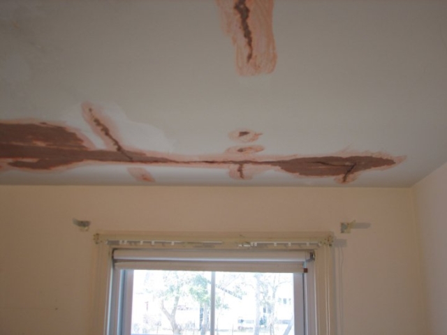 Plaster ceiling repair - Amherst NY