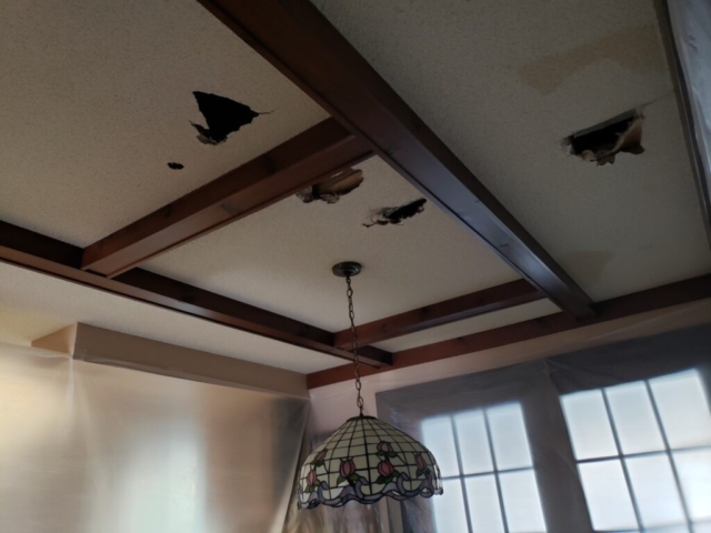 Ceiling Repair Portfolio