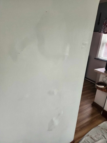 Carrigan Painting's Plaster Repair Portfolio