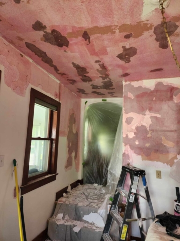 Carrigan Painting's Plaster Repair Portfolio