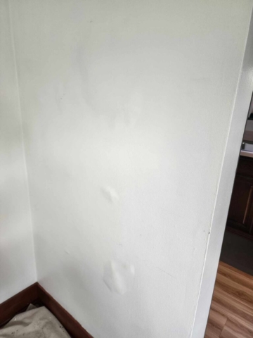 Carrigan Painting's Plaster Repair Portfolio