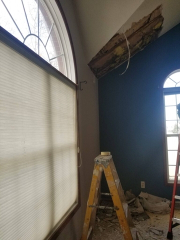 Ceiling Repair Portfolio