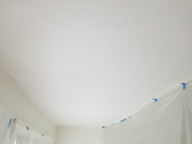 Carrigan Painting's Plaster Repair Portfolio