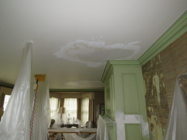Plaster Patch in living room ceiling - Clarence NY