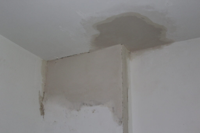 Plaster & Drywall patch