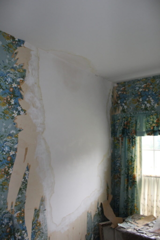 Carrigan Painting's Plaster Repair Portfolio