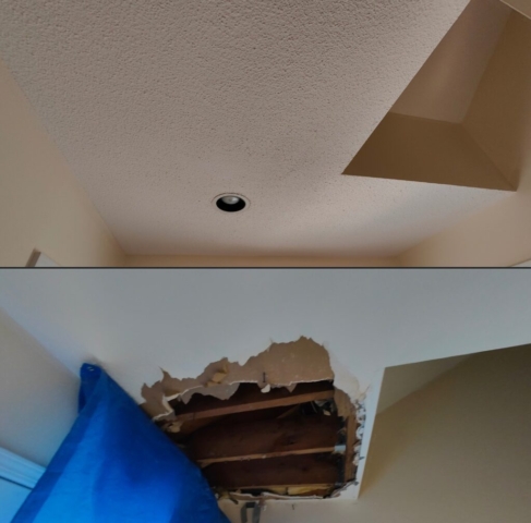 Ceiling Repair Portfolio
