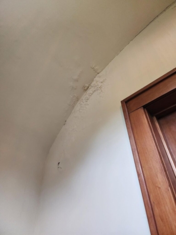 Carrigan Painting's Plaster Repair Portfolio
