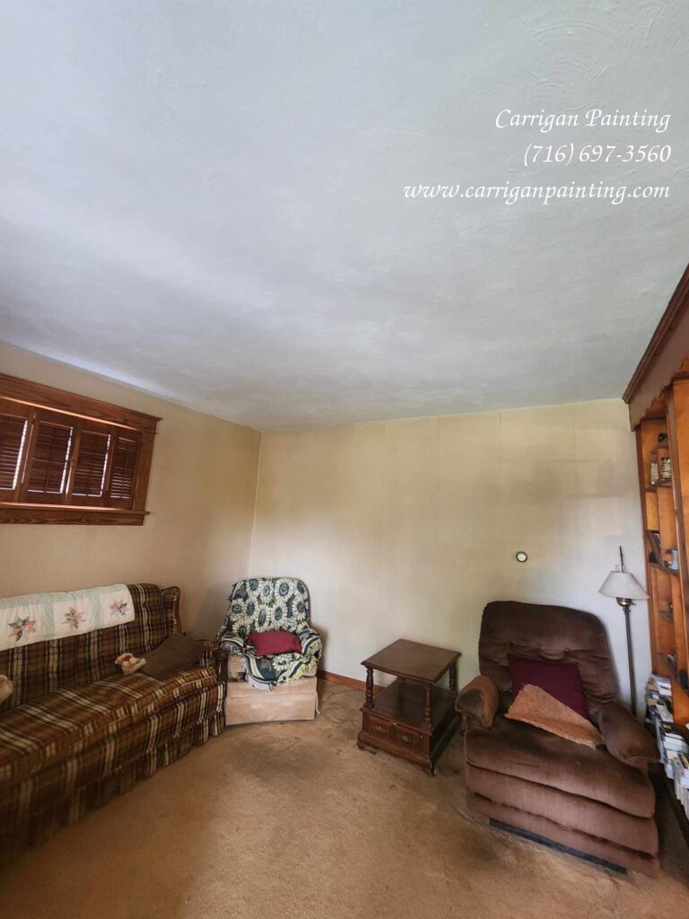 Small Plaster Ceiling Repair and Texture Matching