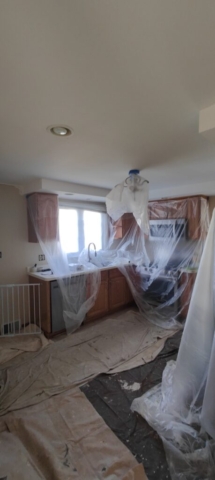 Transform Your New Home with Stress-Free Painting