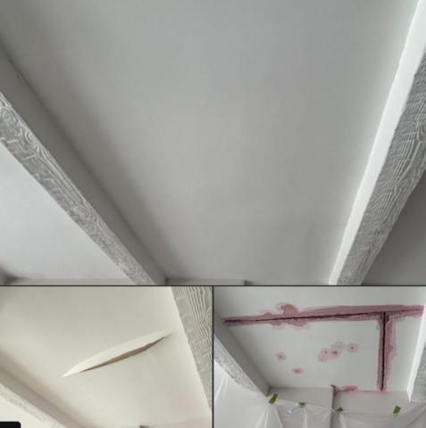 Carrigan Painting's Plaster Repair Portfolio