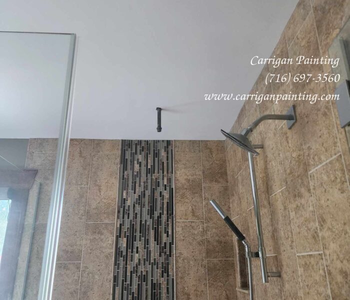 bathroom ceiling repair and painting