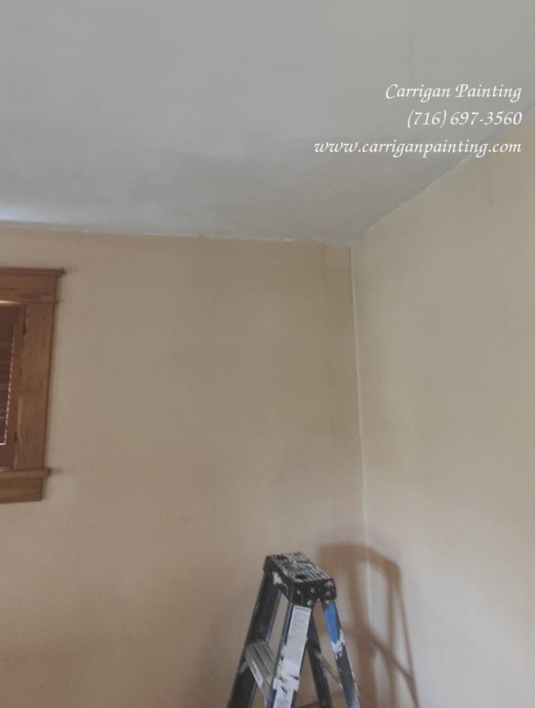 Small Plaster Ceiling Repair and Texture Matching