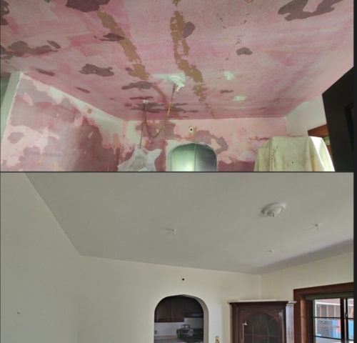 Carrigan Painting's Plaster Repair Portfolio