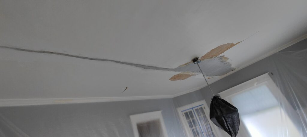 Even a 125 Year Old Plaster Ceiling can be Beautiful 12 Finished plaster ceiling patch