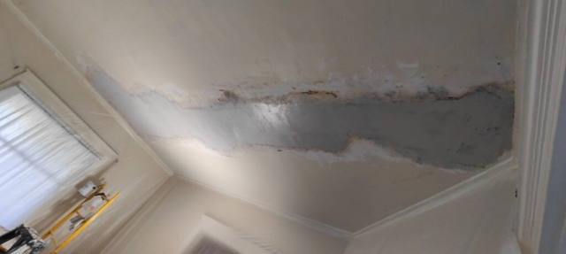 Finished plaster ceiling patch