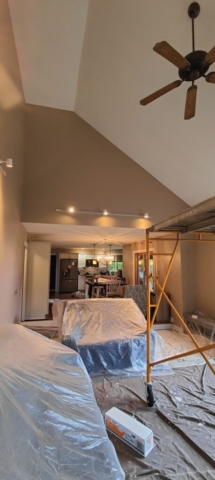 Great room painting in Clarence NY