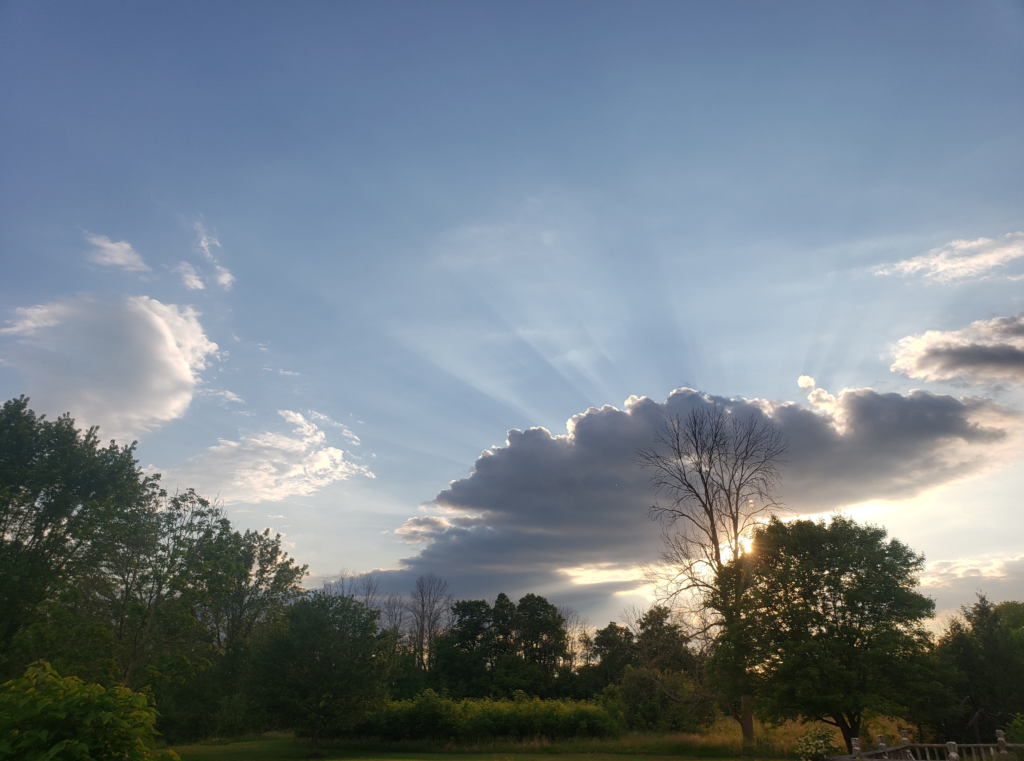 Carrigan Painting Converted to an LLC (and What That Means for You)