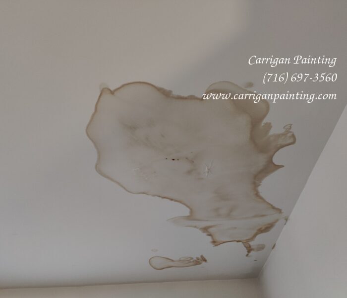 ceiling water stain