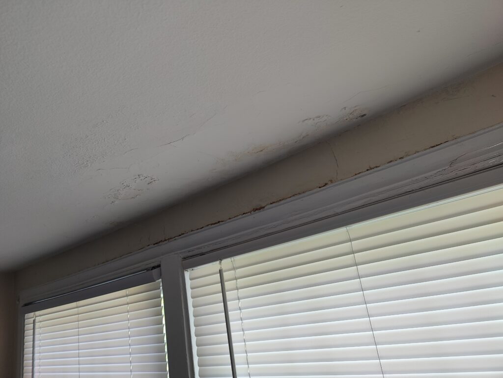Your Local Water Damage Ceiling Repair Experts!