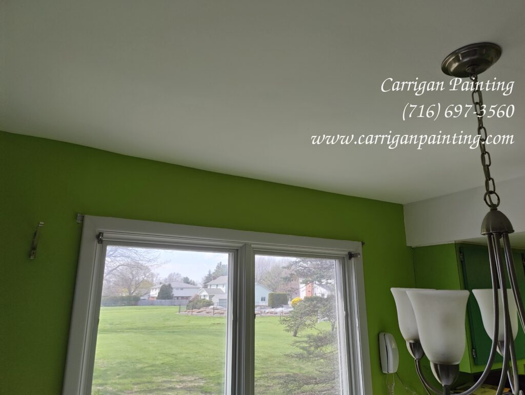 water damage ceiling repair clarence ny