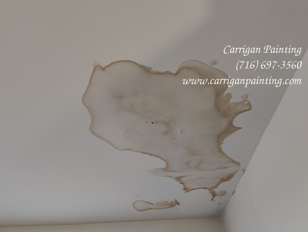 drywall water damage repair near amherst ny