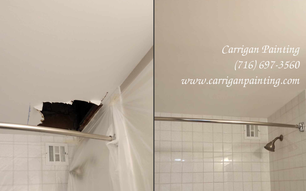 Ceiling Repair Portfolio