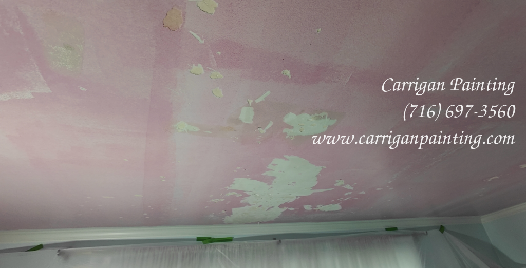 Sometimes, You have to think outside the box - Ceiling Repair