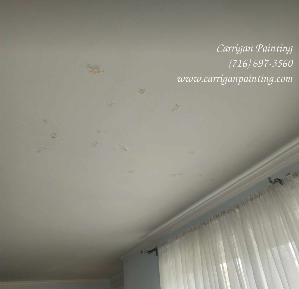 Sometimes, You have to think outside the box - Ceiling Repair