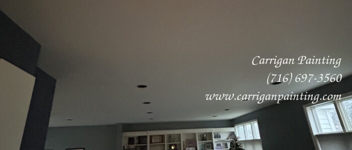 Forever Ceiling Repair and Painting in East Amherst