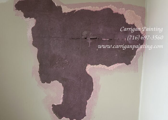 repairing plaster wall