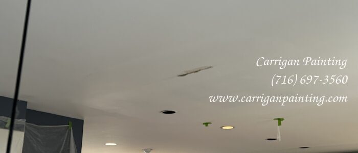 Ceiling repair water damage