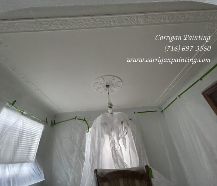 ornamental plaster ceiling