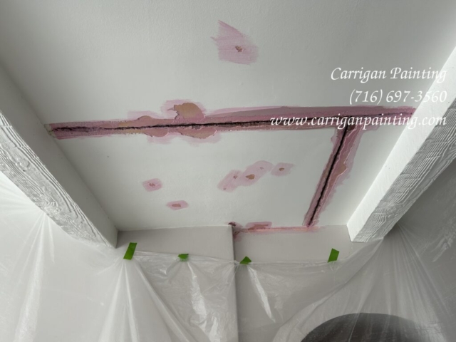 Carrigan Painting's Plaster Repair Portfolio