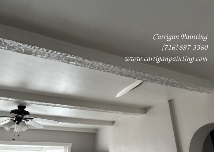 Photo Jan 23 2025, 9 55 06 AM paint pealing off ceiling