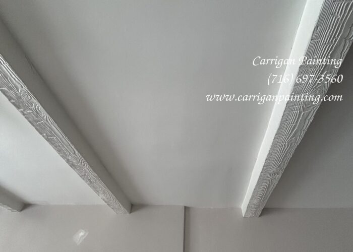 Photo Jan 24 2025, 1 07 46 PM Water Damage Repair from a Roof Leak